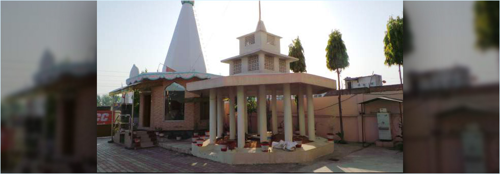 Slide Image